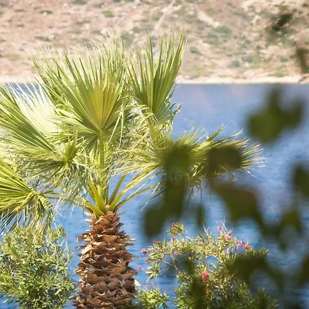 شقة فندقية Elena Village &
