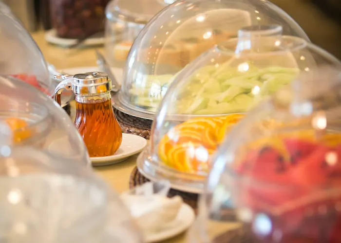 Aparthotel Elena Village Hotel&suites 4*