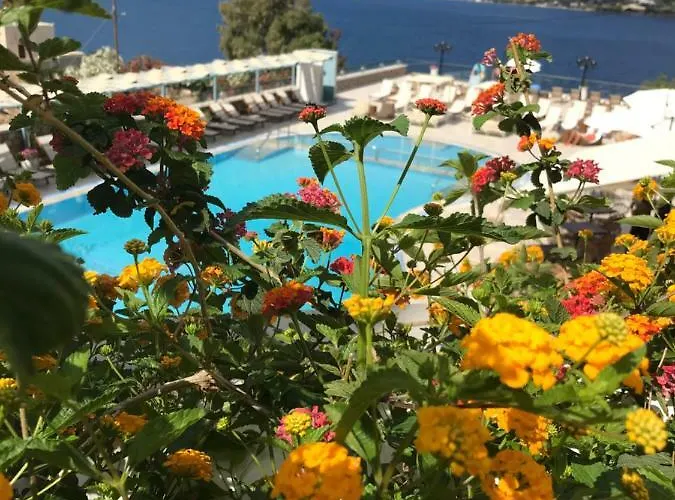 Elena Village Hotel&suites 4*