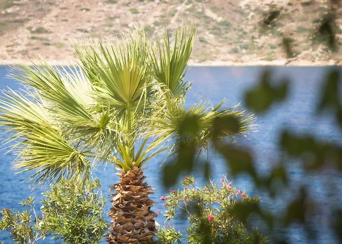 Aparthotel Elena Village Hotel&suites